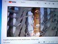 Angelina Ballerina Greek Widescreen 1080p Intro Ultra Fast Version