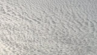 日本各地で怪しい雲と動物の異常行動‼️巨大地震の前兆か‼️2026年9月18日‼️ピコ次郎チャンネル がライブ配信中！‼️