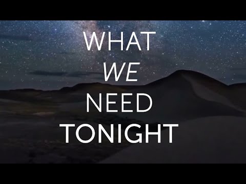 Igor Garnier feat. Roman Polonsky - What We Need Tonight (Spinnin' Records) (Lyric Video)