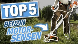 Die besten BENZIN MOTORSENSEN | Top 5 Benzin Freischneider/ Rasentrimmer