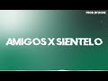 Amigo X Sientelo Remix Fiestero El Villano BM Migrantes El Reja ProdByRode