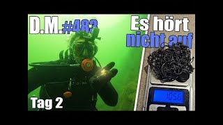 Damit hätte ich hier niemals gerechnet! – Metalldetektor-Abenteuer 483