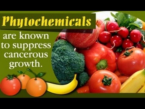 Things You Need to Know About Phytochemicals