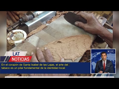 Manuel Achón Rodríguez: Maestro del Tabaco en Santa Isabel de las Lajas
