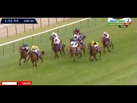 Smart call -Deauville