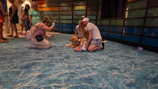 We Met Sailor - Royal Caribbean’s Chief Dog Officer!
