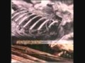 Straight Jacket - Dreaming Of Life