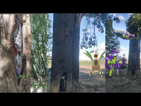 Pedro de Valdivia zombie! en la ruta del río Bio Bío, Hualqui 