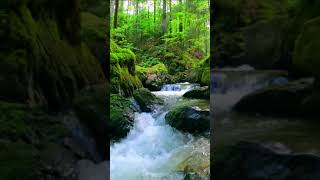 Download lagu GEMERCIK AIR MENGALIR DI SUNGAI DITAMBAH SUARA BURUNG BERSAHUTAN #Shorts #story #nature #fyp #trend mp3 Download lagu GEMERCIK AIR MENGALIR DI SUNGAI DITAMBAH SUARA BURUNG BERSAHUTAN #Shorts #story #nature #fyp #trend mp3