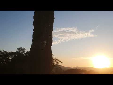 Lyle Mays Quartet (Sheppard, Johnson & Walker), Washington (1993)