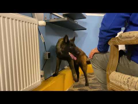 Stam acasa ....si a inceput si nisoarea .1,2 ,3.... Si !    Pe butoane :))))