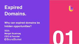 Expired Domains Explained: Auctions, Backorders, SEO & Hidden Value