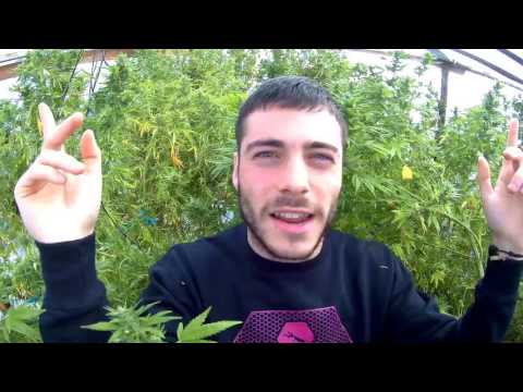 04. REMEMBER ME · RYW · (VIDEOCLIP) · [ POR TU CULPA]