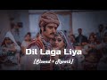 Dil Laga Liya Slow And Reverb Alka Yagnik Udit Narayan SK Lofi Tunes