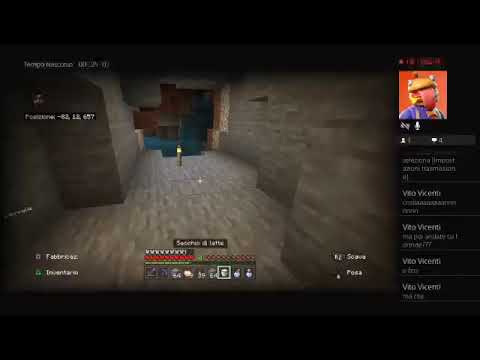 Gioco  con Lezioneveniale  a Minecraft