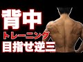 【筋トレ】脂肪燃焼にも最適!せどらーが背中のトレーニングで悶絶