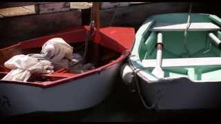 SÓ A VIDA É VIRAL (only life is viral)  bruno pignatiello