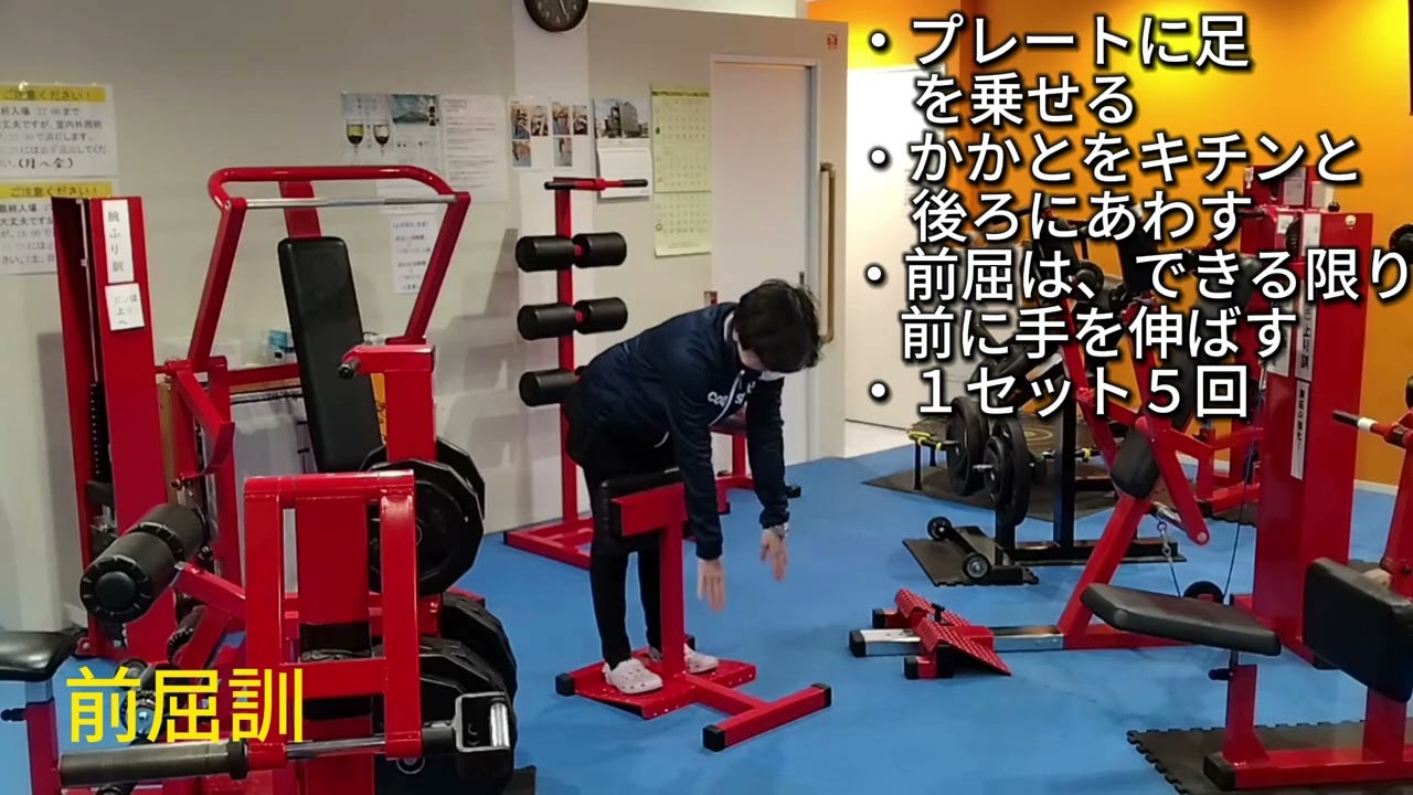 前屈訓