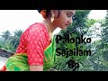 Ami Palonko Sajailam Go Dance Cover/Palonko Sajailam Go Dance