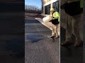 Porous Pavement