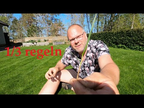 Breaking the 1/3 rule, plant science about grass plants