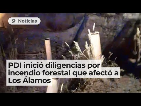 PDI inició diligencias por incendio forestal que afectó a Los Álamos