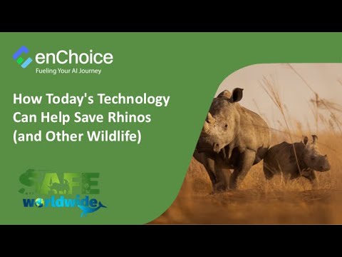 World Rhino Day 2025