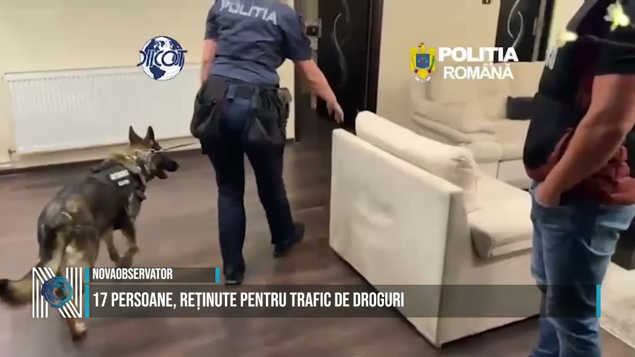 17 persoane, reținute pentru trafic de droguri