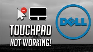 Dell Touchpad Not Working in Windows 10/8/7 [2024 Tutorial]