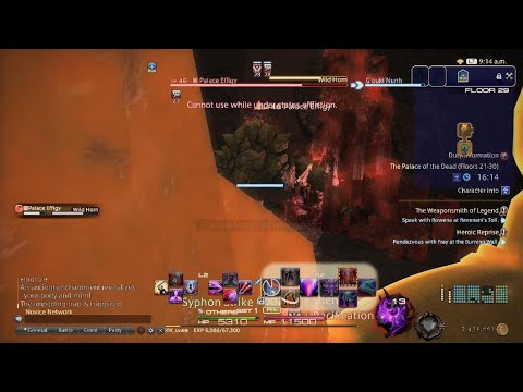 FINAL FANTASY XIV Online POTD Solo DRK Floor 30 Clear