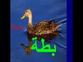 Learn Arabic with Khaled 4