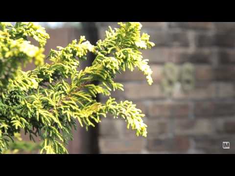 36 Pogson Drive - Ray White Cherrybrook & West Pennant Hills