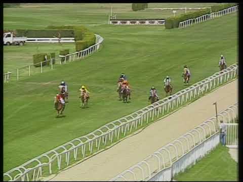 corsa Haflinger  11.08.2019