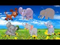Elephant Sound Compilation Animal Voices Sound