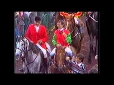 1987 VRC Melbourne Cup _ Kensei