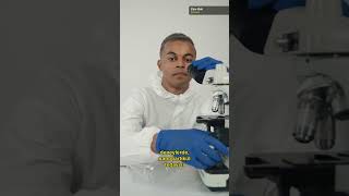 Yeni Nanopartikül Tedavisi Kanserle Mücadelede Çığır Açıyor