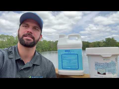 Say Goodbye to  Midge Fly Woes!