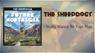 The Sheepdogs I Really Wanna Be Your Man