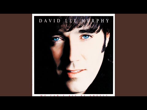 I Could Believe Anything - David Lee Murphy