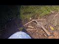1 Night Experience Of Frog Hunting And Catching A Lot Of Them Yongsieutv Mo4ke
