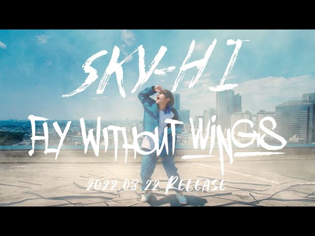 SKY-HI『SKY-HI HALL TOUR 2022 -超・八面六臂-』ファイナル!MCで12月開催、豊洲PITでのライブを発表、さらには12月にニューアルバムリリースを示唆! 7 YouTubeサムネイル