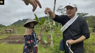 Download lagu ANNOYED!!! That's the name of Siti Zubaidah's village, the sister we met in the middle of the val... mp3