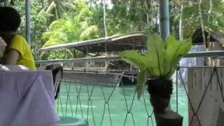 preview picture of video 'PHILIPPINES*BOHOL2009OCT'