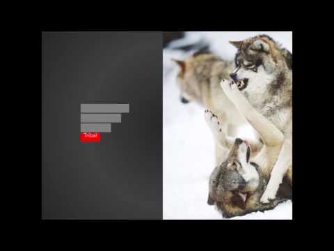 Reinventing Organisations - Talk & Expert Panel with Frederic Laloux (Part 1 of 2)