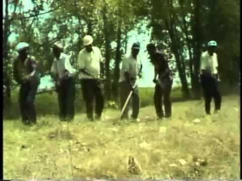 Joe Savage, Walter Brown, and friends: Take This Hammer (1978)