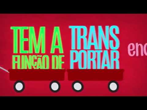 Aula Cantada 01   Organelas1