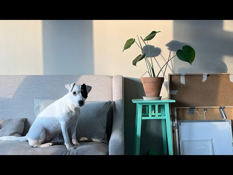 A new start / Nordic slow living vlog