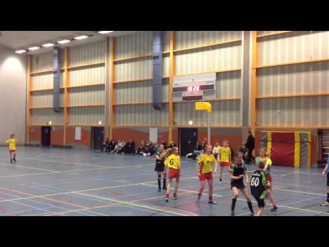 Noord 12 - Flamingo's C1 Helft 1