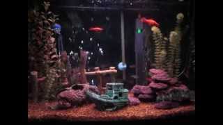 ELP FISHCAM - Still...You Turn Me On / Tiger in a Spotlight