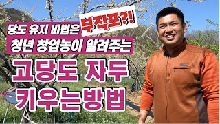 [자두 이야기] 최동수 Chapter1 이것만 있으면 고당도 자두 재배가 가능합니다 고당도 자두 재배 노하우…